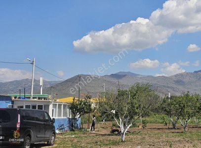 Arsa-Bağ & Bahçe
