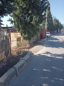 Arsa-Konut İmarlı