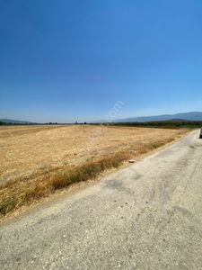 Arsa-Tarla