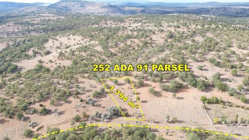 Arsa-Tarla