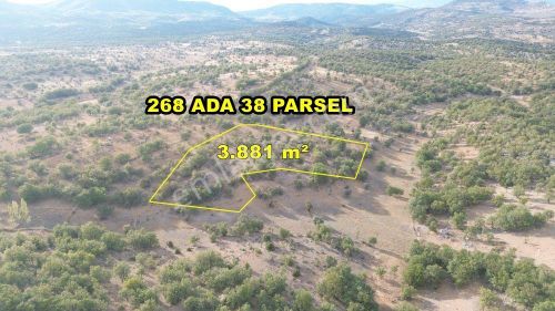 Arsa-Tarla