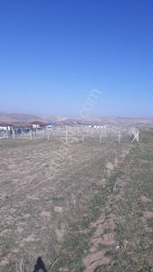 Arsa-Sanayi İmarlı