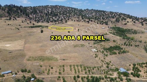 Arsa-Tarla