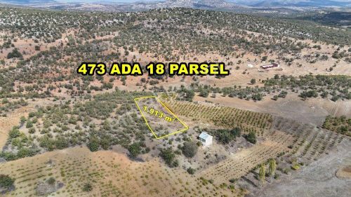 Arsa-Tarla