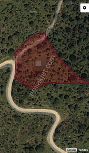 Arsa-Zeytinlik