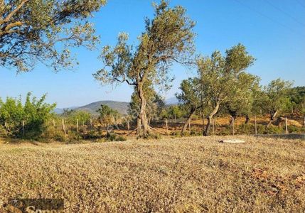 Arsa-Tarla
