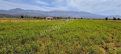 Arsa-Özel Kullanım