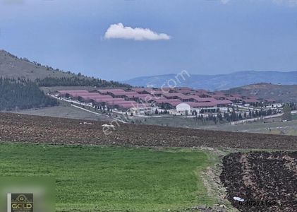 Arsa-Bağ & Bahçe