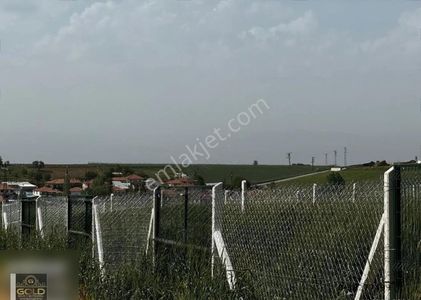 Arsa-Bağ & Bahçe