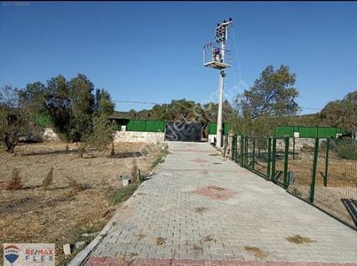 Arsa-Tarla