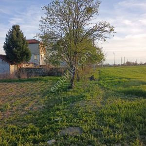 Arsa-Tarla