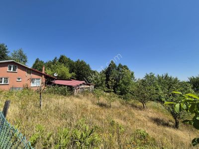 Arsa-Bağ & Bahçe