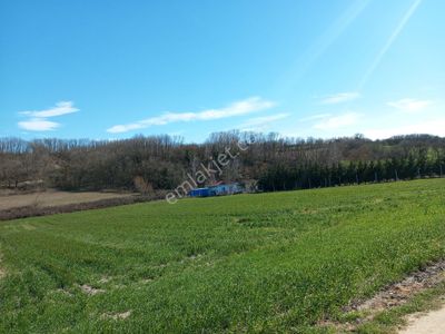 Arsa-Tarla