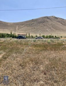 Arsa-Tarla