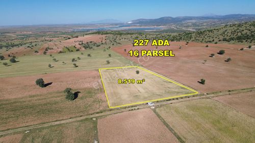 Arsa-Tarla