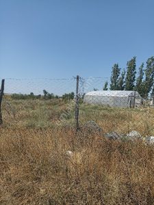 Arsa-Tarla