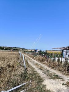 Arsa-Tarla