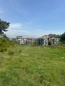 Arsa-Konut+Ticaret Alanı