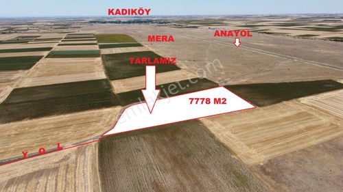 Arsa-Arazi