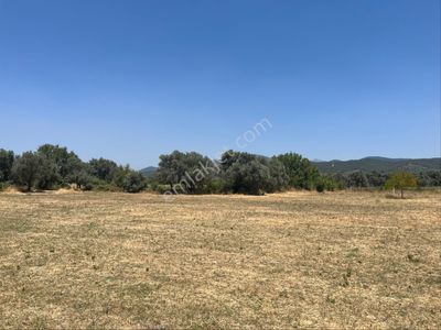 Arsa-Tarla