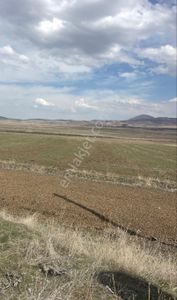 Arsa-Tarla