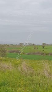 Arsa-Tarla