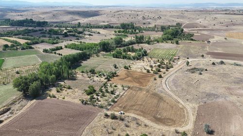 Arsa-Tarla