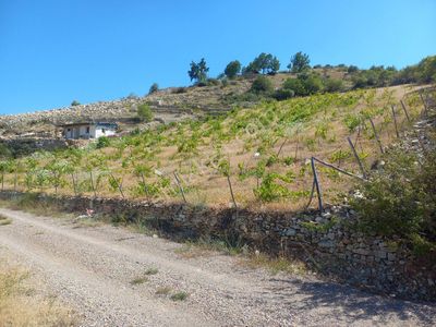 Arsa-Bağ & Bahçe