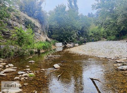 Arsa-Tarla