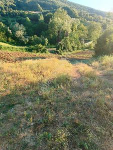 Arsa-Tarla