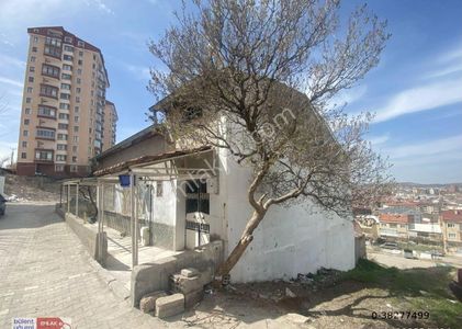 Arsa-Konut İmarlı