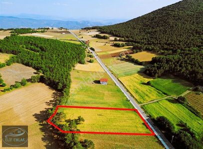 Arsa-Tarla