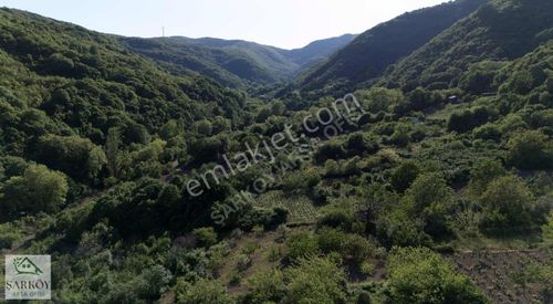 Arsa-Bağ & Bahçe