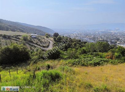 Arsa-Villa İmarlı