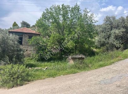 Arsa-Konut İmarlı