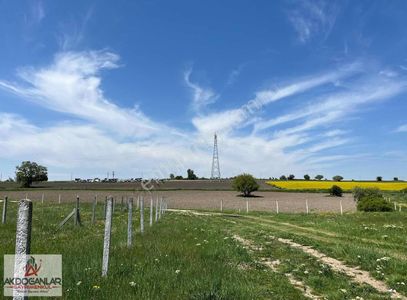 Arsa-Tarla