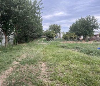 Arsa-Tarla