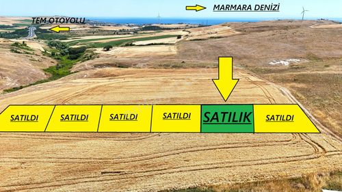 Arsa-Tarla
