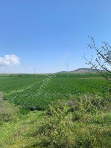 Arsa-Sanayi İmarlı