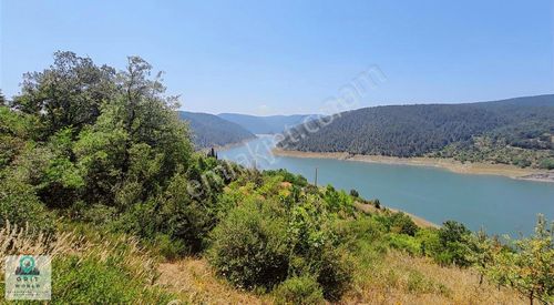 Arsa-Bağ & Bahçe
