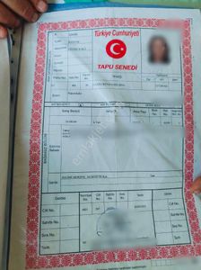 İşyeri-Dükkan & Mağaza