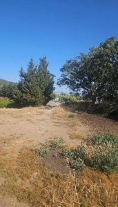 Arsa-Tarla