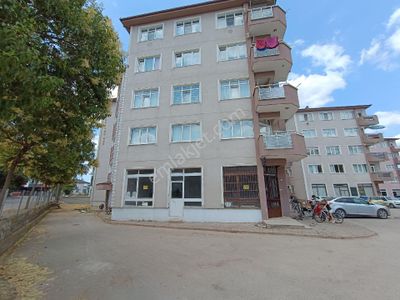 İşyeri-Dükkan & Mağaza