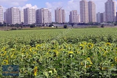 Arsa-Villa İmarlı
