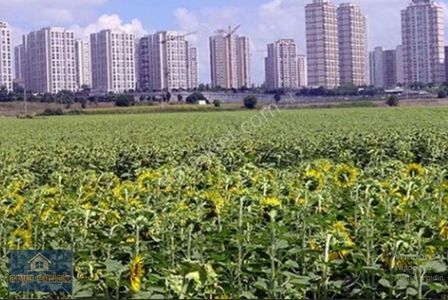 Arsa-Özel Kullanım
