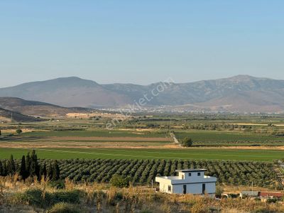 Arsa-Villa İmarlı
