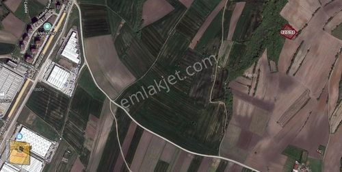 Arsa-Tarla