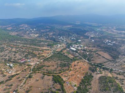 Arsa-Zeytinlik