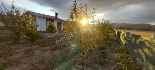 Arsa-Tarla