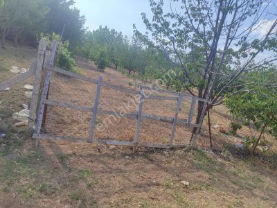 Arsa-Villa İmarlı